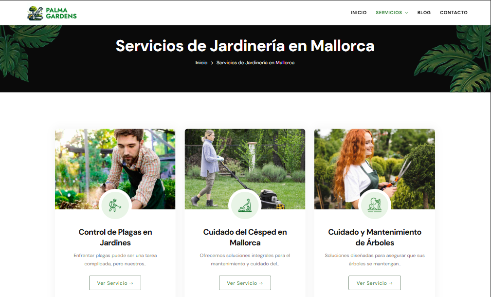 Página de servicios